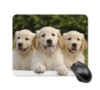 Golden Retriever Puppies Tapis de souris carré portable avec base en caoutchouc antidérapant 20 x 25 cm Tapis de souris de jeu ultra fin pour ordinateur portable Accessoires de bureau