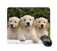 Golden Retriever Puppies Tapis de souris carré portable avec base en caoutchouc antidérapant 25 x 30 cm Tapis de souris de jeu ultra fin pour ordinateur portable Accessoires de bureau