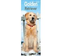 Golden Retriever Slim Calendar 2026 Dog Breed Slimline Calendar - 12 Month