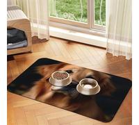 Golden Retriever Tapis d'alimentation pour animal domestique 40 x 60 cm, tapis absorbant pour gamelle d'eau et de nourriture, en cuir synthétique, imperméable, séchage rapide, sans taches