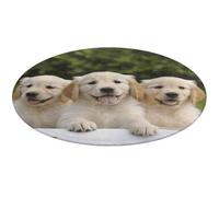 Golden Retriever Tapis de bain doux et absorbant et antidérapant Motif chiots de la ferme 80 x 80 cm pour chambre à coucher, salon, décoration d'intérieur