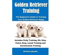Golden Retriever Training