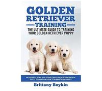 Golden Retriever Training - The Ultimate Guide To Training Your Golden Retriever Puppy