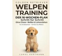 Golden Retriever Welpen Training: Der 16-Wochen-Schritt-für-Schritt-Plan für Erstbesitzer - Ohne Chaos, Beißen & Leinenziehen