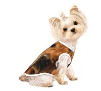 golden retriever1 T-shirt respirant pour petits chiens et chats