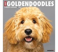 Goldendoodles 2027 Wall