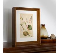 GoldeneAmeisen Cadre Photos Flottant Transparent,Cadre Photo SpéCimen De Feuille,Cadre en Verre,Cadre Photo Acrylique Transparent,RéSistant à l'usure,pour Affiches Certificats Spécimen