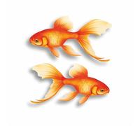 Goldfish Lot de 2 autocollants en forme de poisson - Résistants à l'eau et aux intempéries - 0 % de transparence - Pour décoration murale de voiture et maison