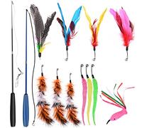 GOLDGE Jouet à Plumes pour Chats 13PCS, Rétractable Canne a Peche Jouet 2 bâtons de Baguette avec 11 Plumes de Remplacement Recharges, Interactifs pour l'intérieur Chats et Chatons