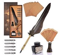 GOLDGE Stylo plume, stylo d'oie avec 5 stylos de rechange, écriture de calligraphie stylo stylographique, Quill stylo avec encre stylographique, porte-stylo, 8 feuilles de lettre et 4 enveloppes