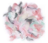 GoldRock Lot de 100 Plumes colorées pour travaux manuels, Plumes de Bricolage, Coiffe Indienne pour Enfants, Accessoires de Bricolage pour Boucles d'oreilles, Mariage, Attrape-rêves, Plumes de Coiffe