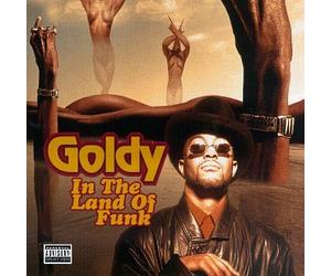 Goldy - in The Land of Funk