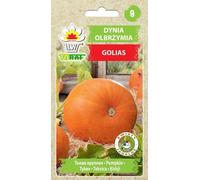 Golias Courge Cucurbita Maxima Graines Fruit de courge Jusqu'à 30Kg 4G Graines de légumes