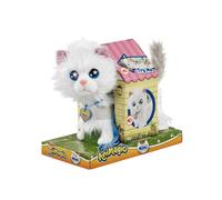 Goliath Mimi The Cat