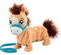 Goliath Pumpkin The Shetland Pony