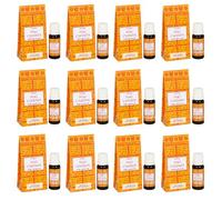 Goloka Nag Champa Huile aromatique 12 x 10 ml | Huile parfumée naturelle pour aromathérapie, diffuseur et pot-pourri | Parfum chaud Nag Champa | Pour la détente, la méditation et le parfum d'intérieur