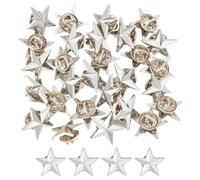 GOMAKERER 30 épingle à Revers avec Badge Étoile, Épingles D'Insigne D'Étoile de Platine Épingles D'Étoile de Jour D'Anciens Combattants Épinglettes de Récompense Militaire pour Vêtements de Sacs à Dos