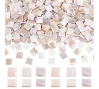 GOMAKERER 500pcs Carreaux de Mosaïque en Coquillage Naturel Cabochons Carrés en Coquillage Blanc Floral 10x10mm Pièces de Mosaïque en Nacre Carreaux de Mosaïque en Vrac pour Bricolage Artisanat