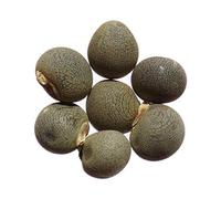 Gombo - Clemson Spineless Bio - SEM02