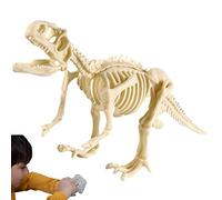 Gomice creusement fossiles pour | Jouet d'excavation archéologique fossile Dinosaure pour Adultes - Kits d'activités creusement Cadeaux pour garçons et Filles