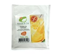 Gomme de xanthane 60g nature et compagnie bio *