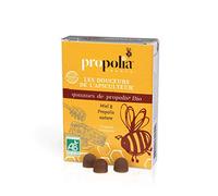 Gommes De Propolis Miel Et Propolis Nature Bio 45 g Propolia