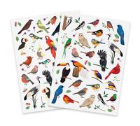 Gommettes Oiseaux réalistes 1,3 à 7,5 cm 83 pièces