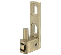 Gond de portail - TIRARD - MULTIFIX L - Réglage 35-60 mm - Pivot Ø12 mm - Cupro-aluminium