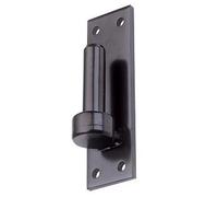 Gond sur platine noir 120 x 40 mm Axe Ø 16 mm Torbel industrie