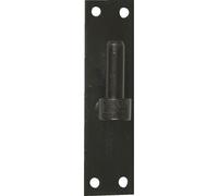 Gond sur platine acier prépeint, H.120x Diam.16 mm https://www.fnac.com/mp49266826/Gond-sur-platine-acier-prepeint-H-120x-Diam-16-mm/w-4?oref=12c88c10-2fd5-f898-25d2-05c09565f707