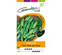 Gondian 152330 CP 1 Semences Cornichon Petit de Paris Vert 1 x 8,1 x 16 cm