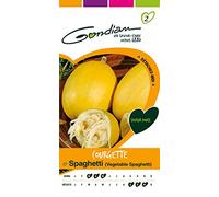 Gondian 152395 CP 2 Semences Courgette Spaghetti Jaune 1 x 8,1 x 16 cm