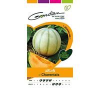 Gondian 153230 Semences-Melon Charentais-CP 1, Blanc, 1x8.1x16 cm