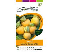 Gondian 153435 Semences-Navet Jaune Boule d'Or-CP 1, 1x8.1x16 cm