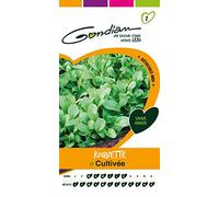 Gondian 154175 Semences-Roquette Cultivee-CP 1, Vert, 1x8.1x16 cm
