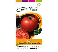 Gondian 154290 CP 1 Semences Tomate Merveille des Marches Rouge 1 x 8,1 x 16 cm