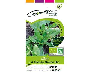 Gondian 155060 CP 2 Semences Mâche à Grosse Graine Bio Vert 1 x 8,1 x 16 cm