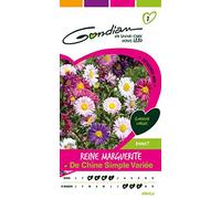Gondian 166560 Semences-Reine Marguerite de Chine Simple Variee-CP 1, Multicolore, 1x8.1x16 cm