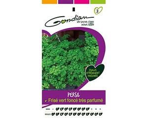 Gondian 188425 CP 3 Semences Persil Frise Foncé Très Parfume Vert 1 x 8,1 x 16 cm