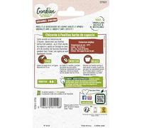 Gondian 3275031 Chicorée à feuilles Barbe de capucin Légume d'antan