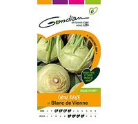 Gondian 511952 Semences-Chou Rave Blanc de Vienne-CP 0, Vert, 1x8.1x16 cm