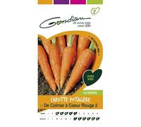 Gondian - Carotte Potagère De Colmar a Coeeur Rouge 2
