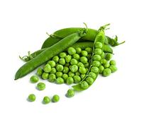 gondian - Graines de Pois Nain Merveille de Kelvedon à grain ridé - sac de 5 kgs