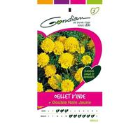 Gondian - œillet d'inde Double Nain Jaune