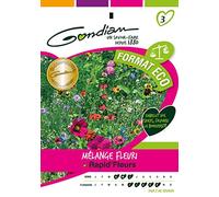Gondian - Jachère Rapide Fleur
