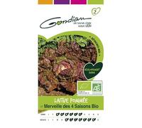Gondian - laitue pommée merveille des 4 saison bio