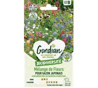 Gondian - Melange de fleurs pour gazon japonais