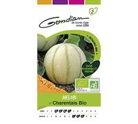 Gondian - Melon Charentais Bio