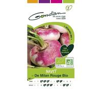Gondian - navet de milan rouge bio