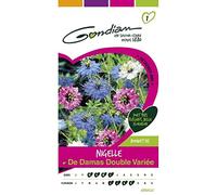Gondian - Nigelle de Damas